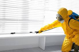 Outdoor Pest Control in Garden Grove, FL